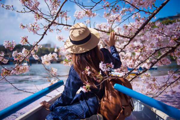 Japan Tokio Kirschblüte Frau von hinten