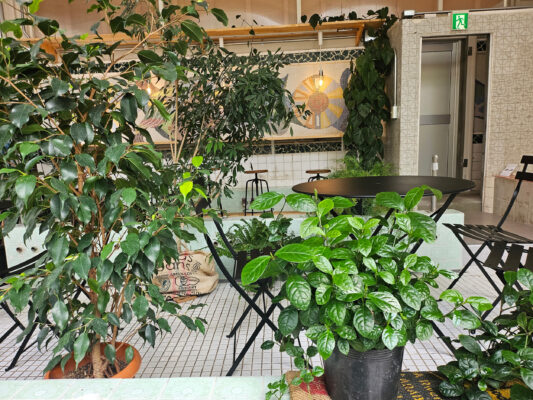 Japan Tokio Cafe'