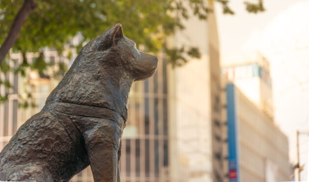 Japan Tokio Hachiko Statue