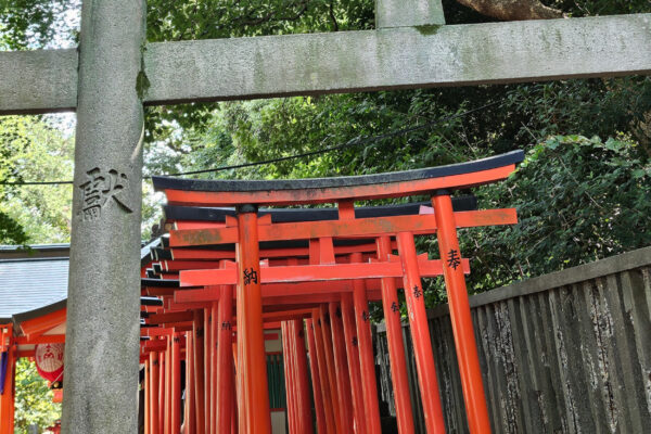 Japan Tokio Nezu Schrein