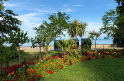 Busreise durch die Vierländerregion am Bodensee: 4 Tage inkl. 4* Hotel, Halbpension & me...