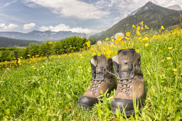 Deutschland Bodensee Wandern