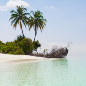 Malediven: Hin- und Rückflug ins Paradies nur 474€