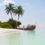 Malediven: Oneway-Flüge ins Paradies nur 319€