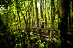 Top 10 Ausflüge und Aktivitäten in und um Fort Myers