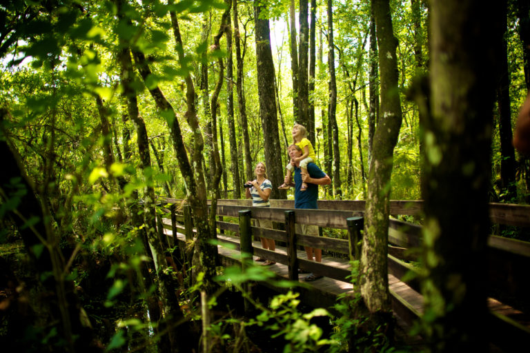 Top 10 Ausflüge und Aktivitäten in und um Fort Myers