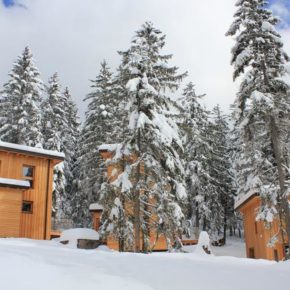 Winterliches Trentino: [ut f="duration"] Tage im schönen Waldchalet für 5 Personen nur [ut f="price"]€ p.P.