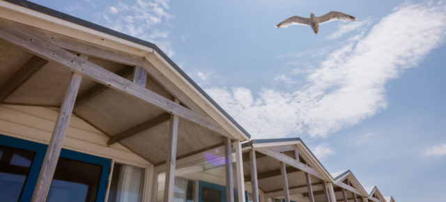 Strandurlaub in Holland: 5 Tage im coolen Beach House direkt am Strand für nur 111€ p.P.