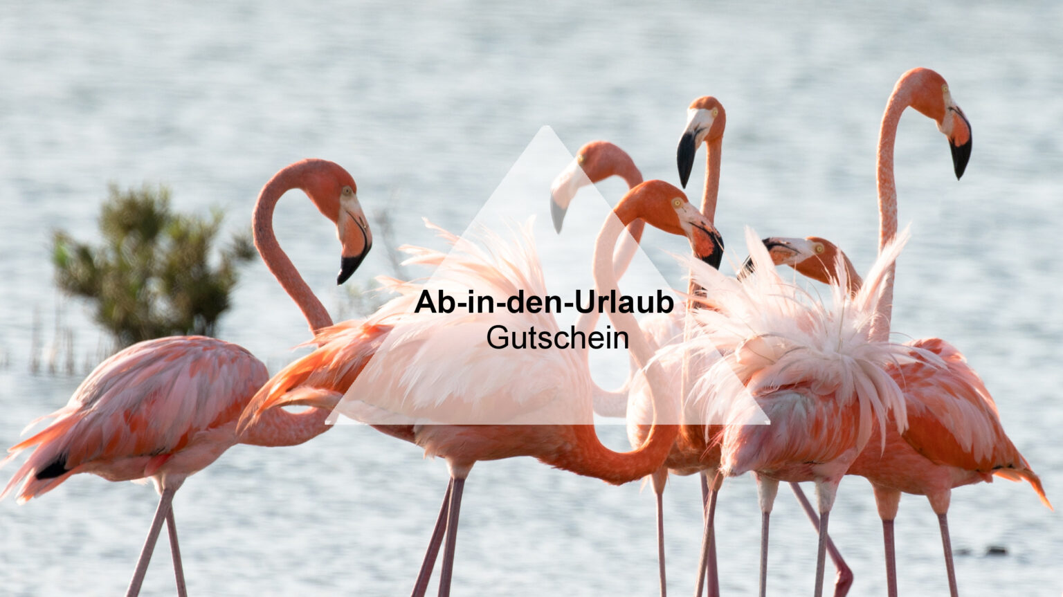 ab-in-den-urlaub.at Gutschein: 500€ Rabatt | 2025