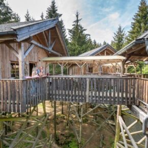 Hoch hinaus: 3 Tage im Baumhotel in Österreich mit Halbpension für 381€