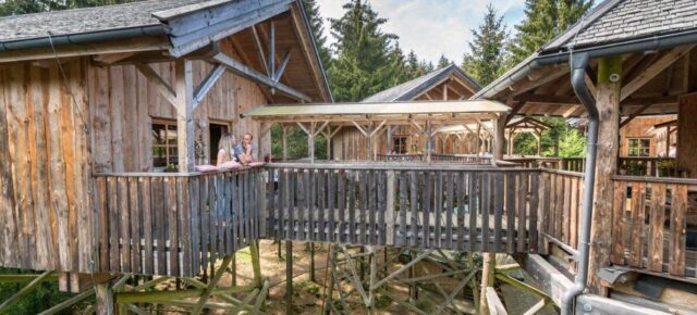 Hoch hinaus: 3 Tage im Baumhotel in Österreich mit Halbpension für 381€