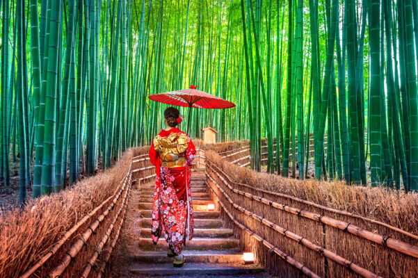 japan kyoto bambuswald frau mit schirm