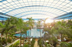Auszeit unter Palmen: 2 Tage Thermen & Badewelt Euskirchen inkl. Premium-Hotel mit Frühs...