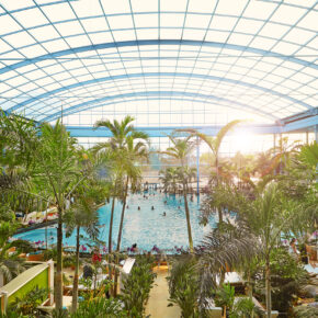Auszeit unter Palmen: 2 Tage Thermen & Badewelt Euskirchen inkl. Premium-Hotel mit Frühstück ab 79€